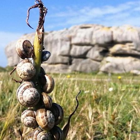 Chez Jeanne Villa Plouguerneau Dış mekan fotoğraf